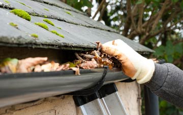 gutter cleaning Forwood, Gloucestershire